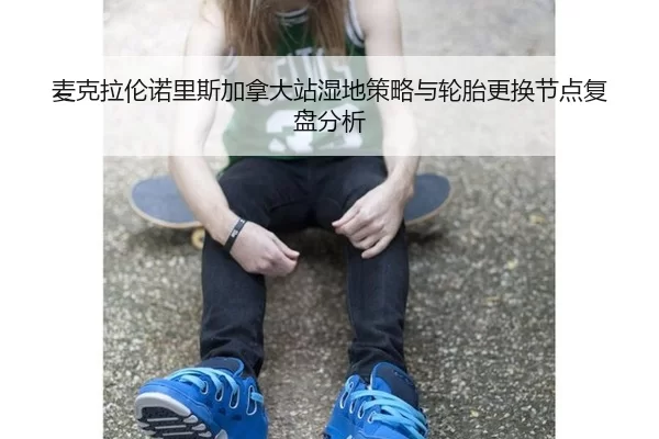 mai-ke-la-lun-nuo-li-si-jia-na-da-zhan-shi-di-ce-lve-yu-lun-tai-geng-huan-jie-dian-fu-pan-fen-xi-2-682.jpg