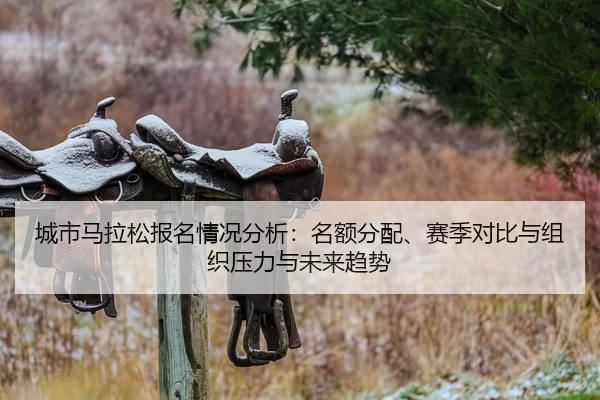 cheng-shi-ma-la-song-bao-ming-qing-kuang-fen-xi-ming-e-fen-pei-sai-ji-dui-bi-yu-zu-zhi-ya-li-yu-wei-lai-qu-shi-2-115.jpg